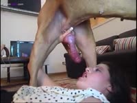 Naughty petite lady enjoying dog sex